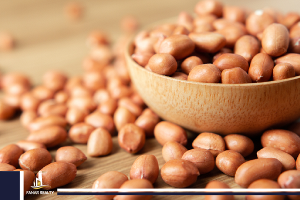 ما لا تعرفه عن البندق في تركيا